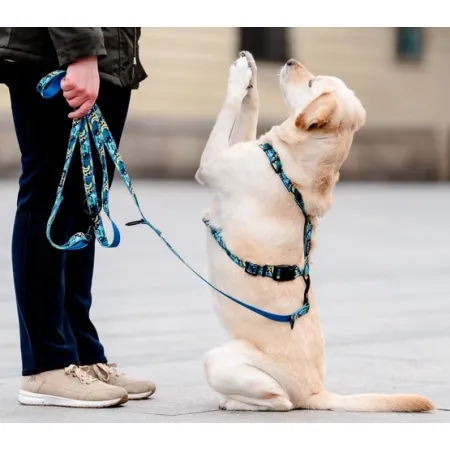 CHABA Smycz regulowana Story III S 16mm/260cm Carnival-2038046