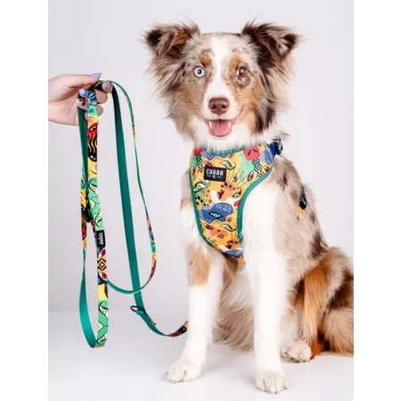 CHABA Smycz regulowana Story III M 20mm/260cm Jumbo-2038069