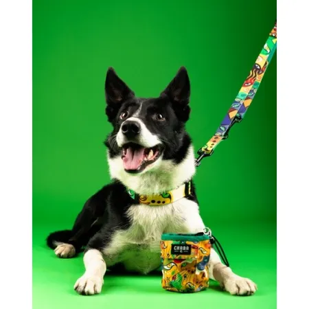 CHABA Smycz regulowana Story III L 25mm/260cm Jumbo-2038076