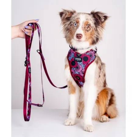 CHABA Smycz regulowana Story III L 25mm/260cm Lakota-2038093