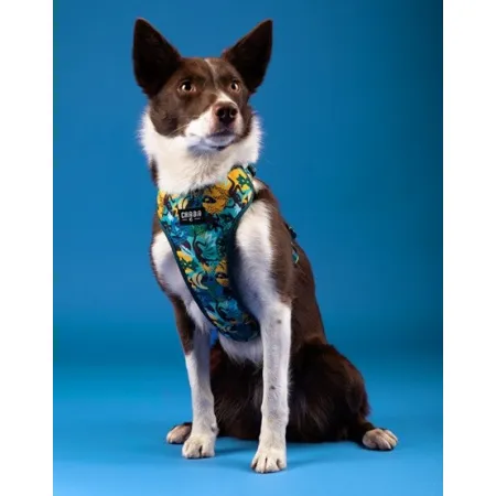 CHABA Szelki Guard Comfort Story III bezuciskowe M 1,6cm Carnival-2038172