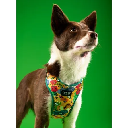 CHABA Szelki Guard Comfort Story III bezuciskowe M 1,6cm Jumbo-2038190