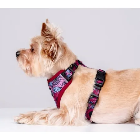 CHABA Szelki Guard Comfort Story III bezuciskowe S 1,6cm Lakota-2038201