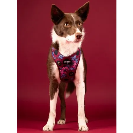 CHABA Szelki Guard Comfort Story III bezuciskowe L 2,0cm Lakota-2038214