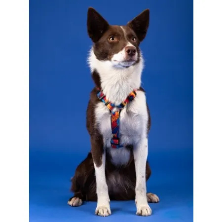 CHABA Szelki Guard Story III XL 3,0cm Aussie-2038224