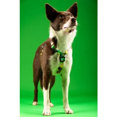 CHABA Szelki Guard Story III XL 3,0cm Jumbo-2038244