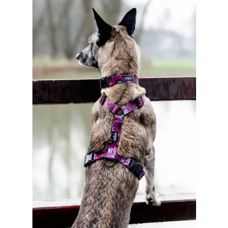 CHABA Szelki Guard Story III L 2,5cm Lakota-2038249