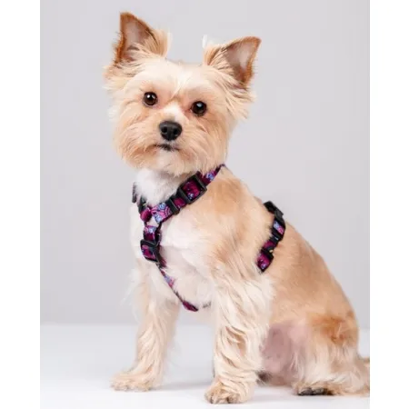 CHABA Szelki Guard Story III XL 3,0cm Lakota-2038253