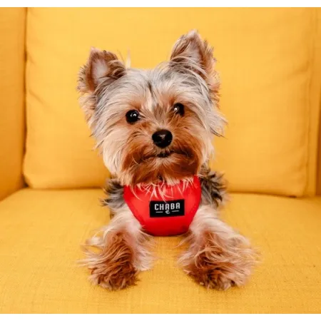 CHABA Szelki Guard Comfort Classic S czerwone-2038299