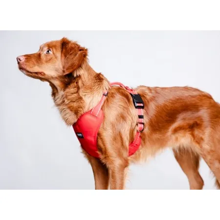 CHABA Szelki Guard Comfort Classic L czerwone-2038316