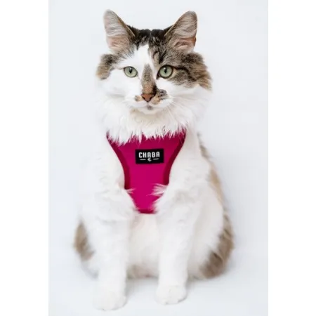 CHABA Szelki Guard Comfort Classic XL fuksja-2038360