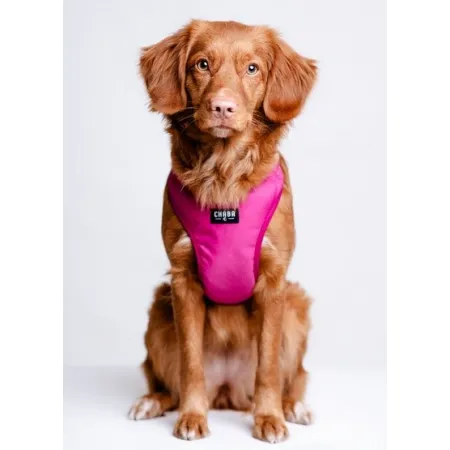 CHABA Szelki Guard Comfort Classic XL fuksja-2038361