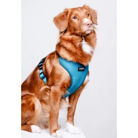 CHABA Szelki Guard Comfort Classic XL morskie-2038397