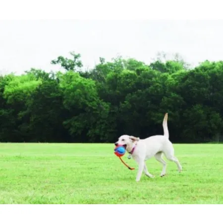 Chuckit! Rope Fetch [32220]-2038454