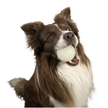 Kiwi Walker Let's Play Glow Ball Maxi piłka-2038550