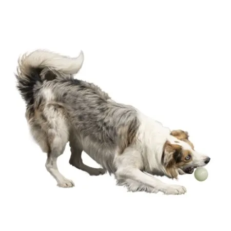 Kiwi Walker Let's Play Glow Ball Maxi piłka-2038551