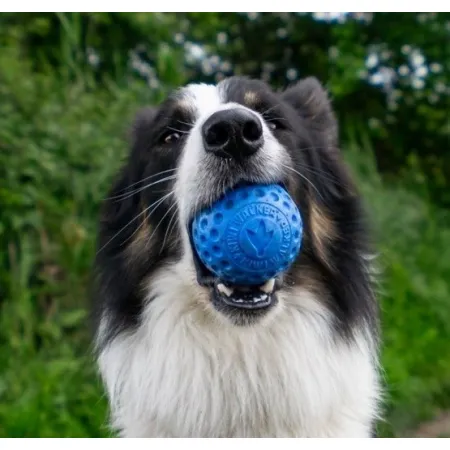 Kiwi Walker Let's Play Ball Maxi piłka zielona-2038558