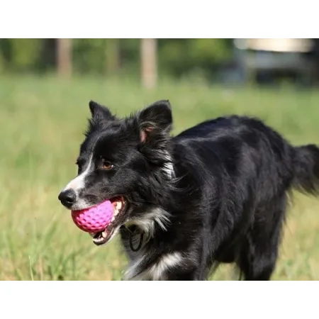 Kiwi Walker Let's Play Ball Mini piłka różowa-2038573