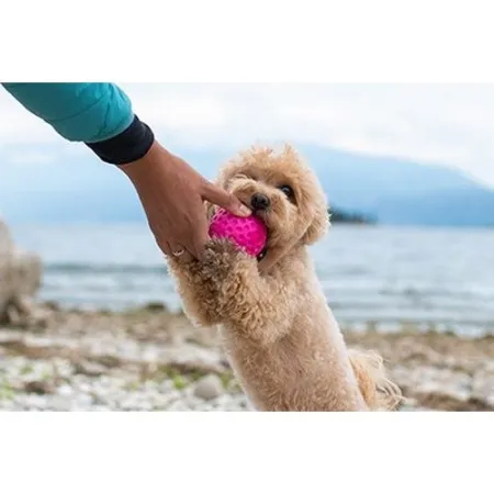 Kiwi Walker Let's Play Ball Mini piłka różowa-2038574