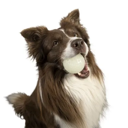 Kiwi Walker Let's Play Glow Ball Mini piłka-2038577