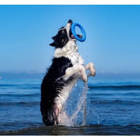 Kiwi Walker Let's Play Ring Mini niebieski-2038581