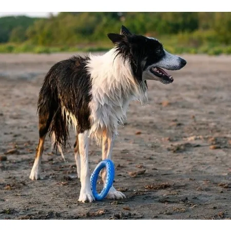 Kiwi Walker Let's Play Ring Mini niebieski-2038583