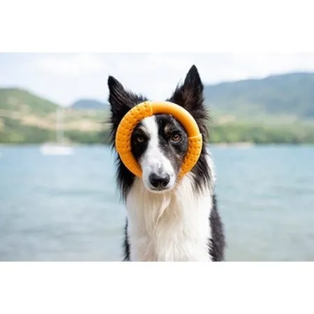 Kiwi Walker Let's Play Ring Maxi pomarańczowy-2038594