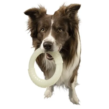 Kiwi Walker Let's Play Glow Ring Maxi-2038602