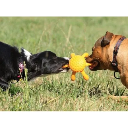 Kiwi Walker Let's Play Octopus Mini ośmiornica pomarańczowa-2038608