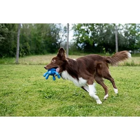 Kiwi Walker Let's Play Octopus Mini ośmiornica niebieska-2038613