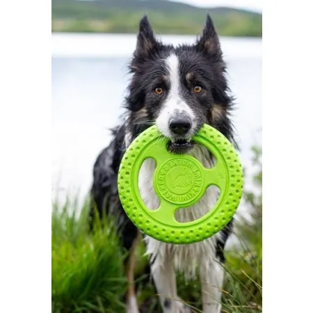 Kiwi Walker Let's Play Frisbee Mini różowe-2038622