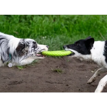 Kiwi Walker Let's Play Frisbee Mini różowe-2038623