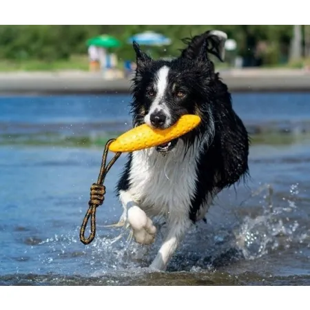 Kiwi Walker Let's Play Zeppelin Mini aport zielony-2038641