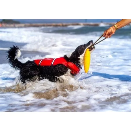 Kiwi Walker Let's Play Zeppelin Mini aport zielony-2038642