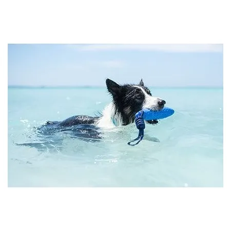 Kiwi Walker Let's Play Zeppelin Maxi aport niebieski-2038645