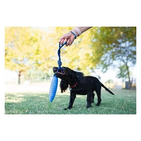 Kiwi Walker Let's Play Zeppelin Maxi aport niebieski-2038646