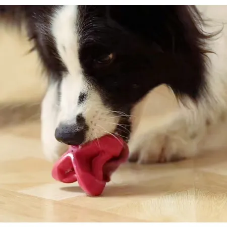 PetDreamHouse Zabawka gumowa Geo-Astro Rolly granatowa-2038754