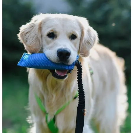 Dingo Zabawka dla psa - Szarpak z węża strażackiego z rączką bungee niebieski-2038761