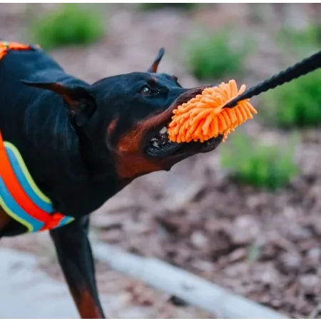 Dingo Zabawka dla psa - Szarpak Mop z rączką bungee pomarańczowy-2038771