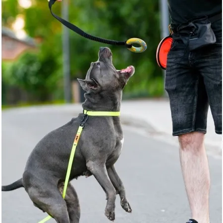 Dingo Zabawka dla psa - Szarpak Ringo z rączką bungee 10cm-2038777