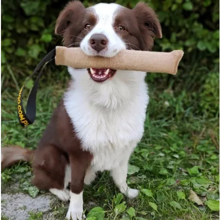 Dingo Zabawka dla psa - Szarpak z juty z uchwytem 40/6cm-2038789