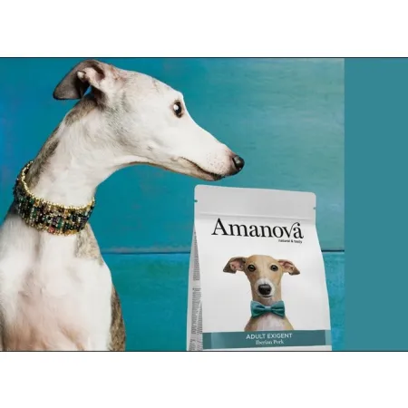 Amanova Dog Adult Exigent Iberian Pork - wieprzowina 2kg-2038901