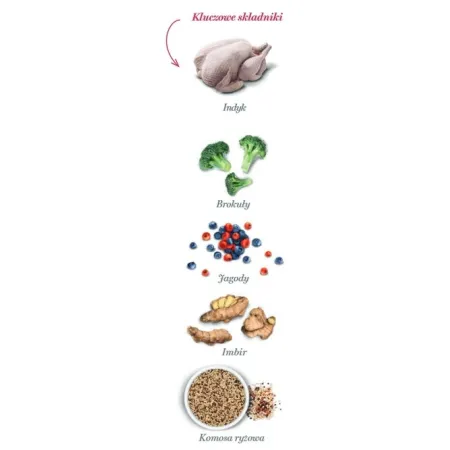 Amanova Dog Adult Obesity Turkey Delight - indyk 2kg-2038921