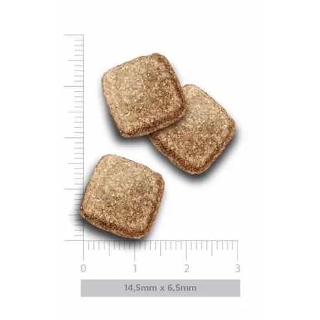 Amanova Dog Adult Obesity Turkey Delight - indyk 2kg-2038922