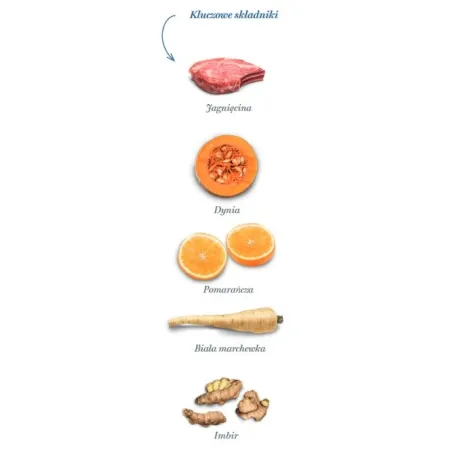 Amanova Dog Adult Sensitive Delicious Lamb - jagnięcina 2kg-2038927