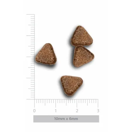 Amanova Dog Puppy Digestive Divine Rabbit - królik 2kg-2038940