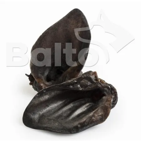 Balto Ucho dzika 1szt