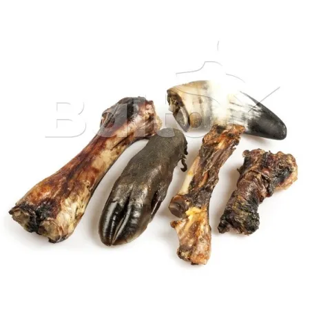 Balto Zestaw gryzaków twardziela 7szt-2039191