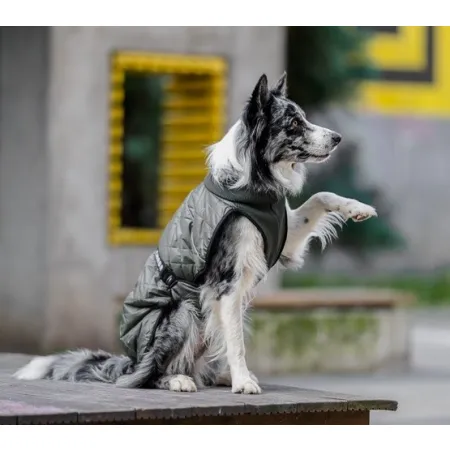 Chaba Kubrak Regulowany Chic XS khaki-2039244