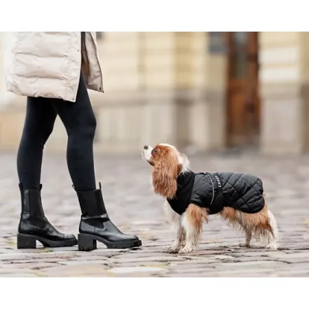 Chaba Kubrak Regulowany Chic S black-2039263